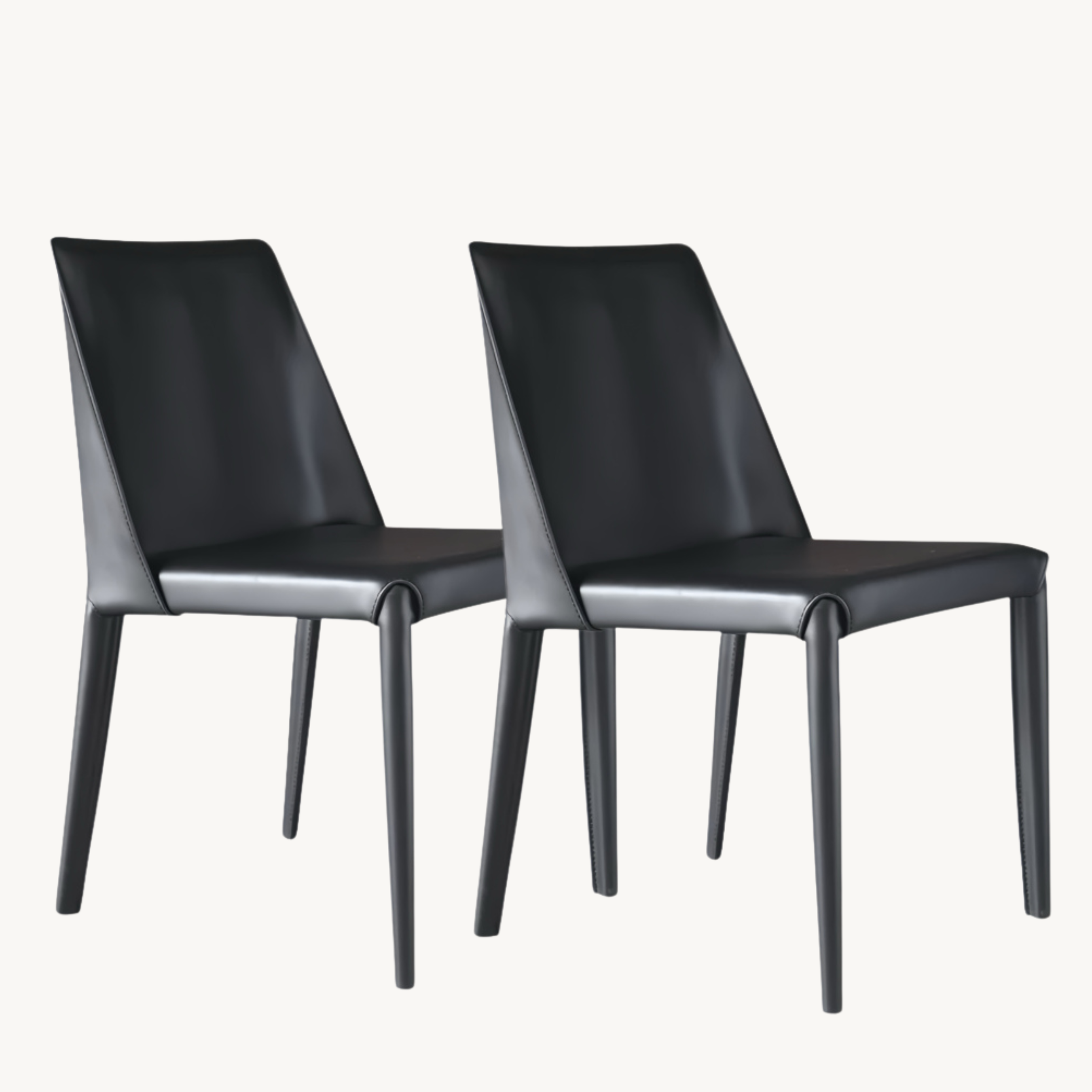 Doniky 2 pcs set-minimalist dining chairs-B