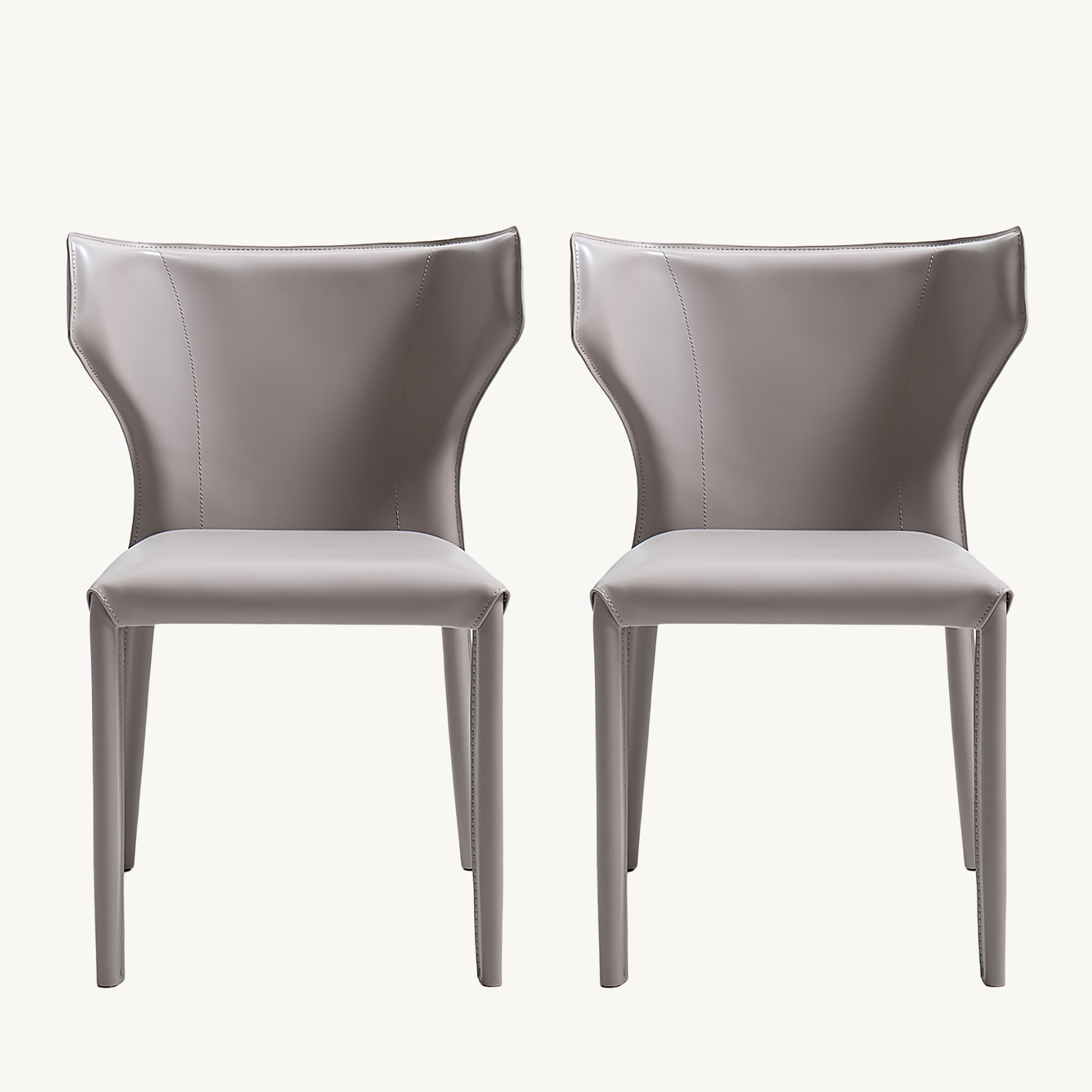 Losifa 2 pcs set-modern dining chairs