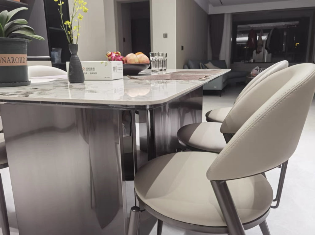 Sevian 2 pcs set-light luxury dining chair-A