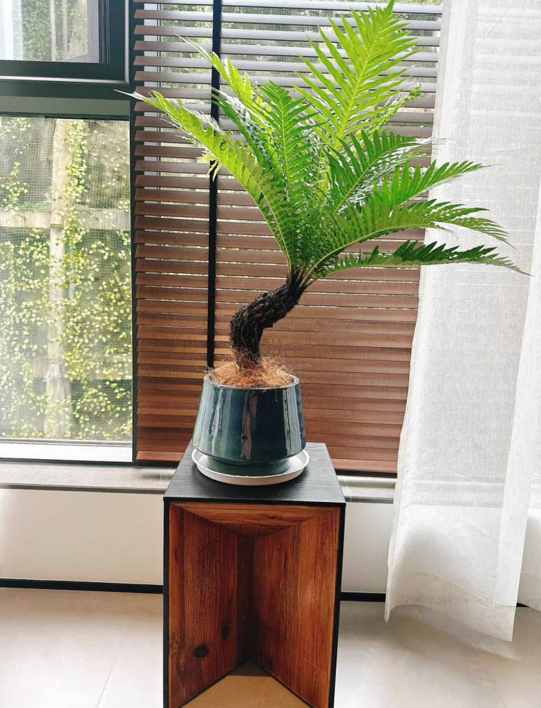 Dante Solid wood side table