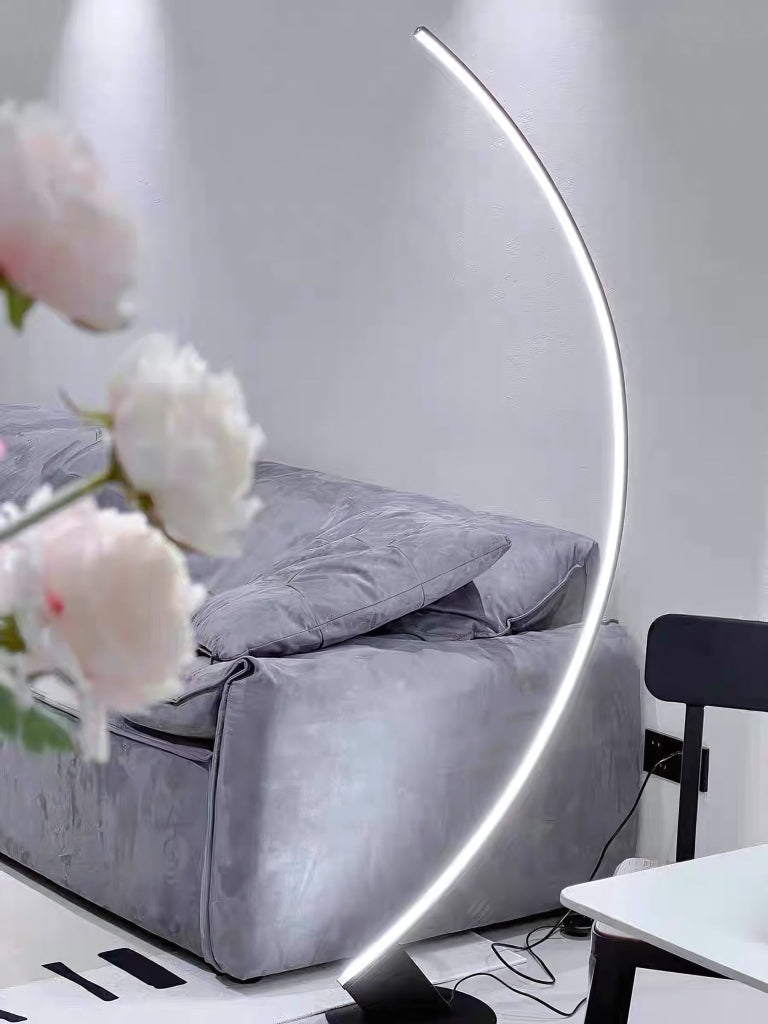 Fenio Minimalist curved black floor lamp