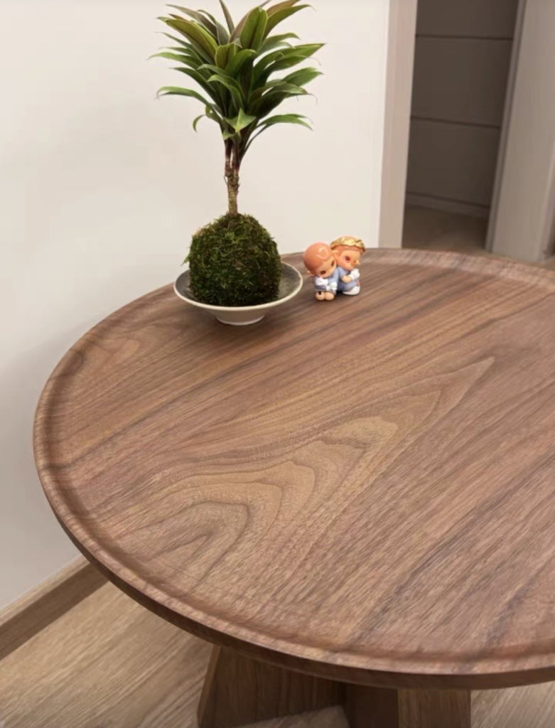 Palas Modern coffee table side table set