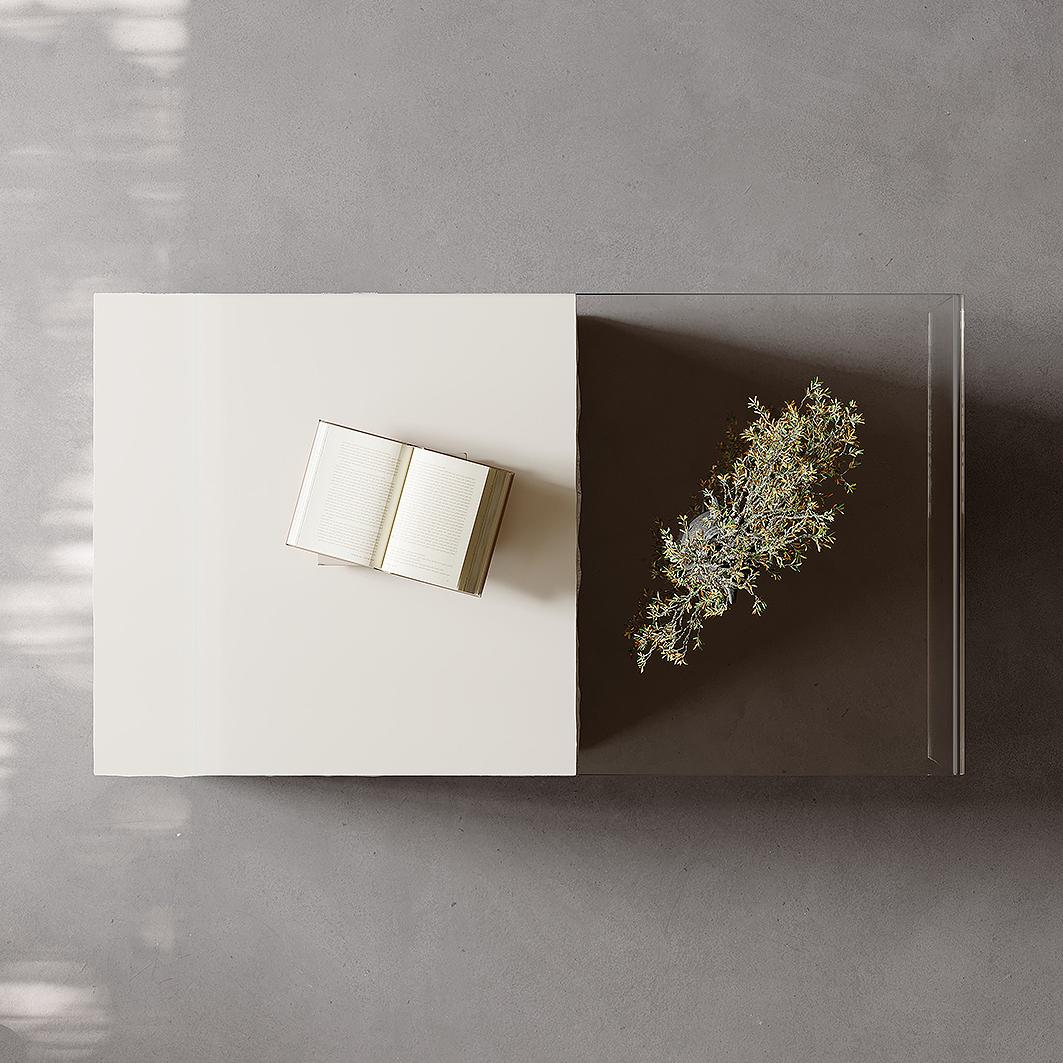 Rilva Minimalist coffee table