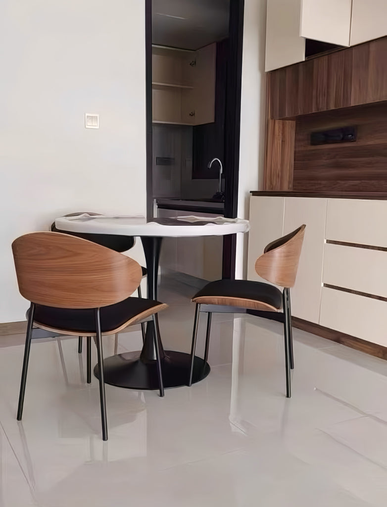 Dasey 2pcs solid wood leather dining chairs