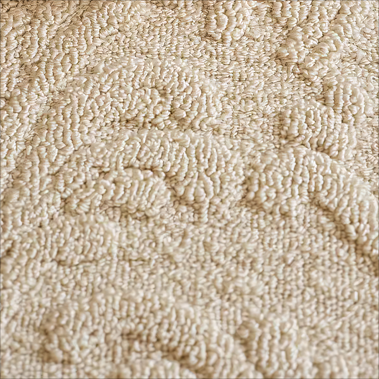 Zaso Natural seaweed fiber carpet rug