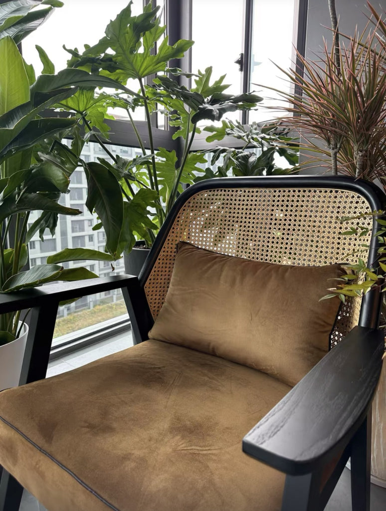 Rosalina Ash wood natural rattan accent chair