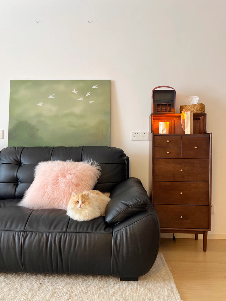 Ossia Solid wood chest of drawers