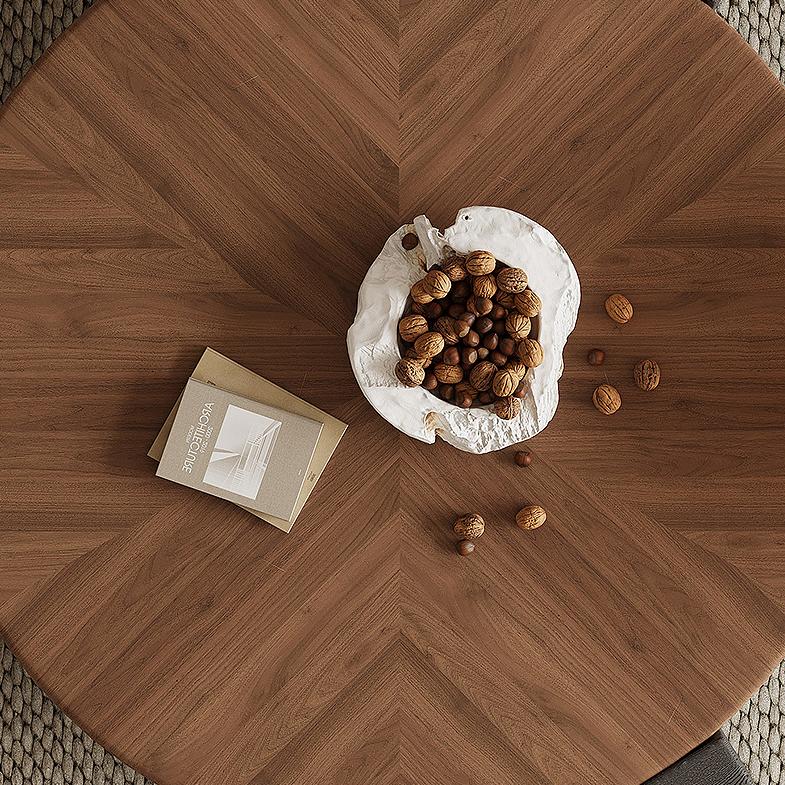 Lurina Modern coffee table
