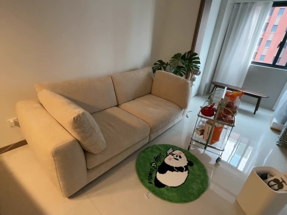 Firosu Washable fabric straight sofa