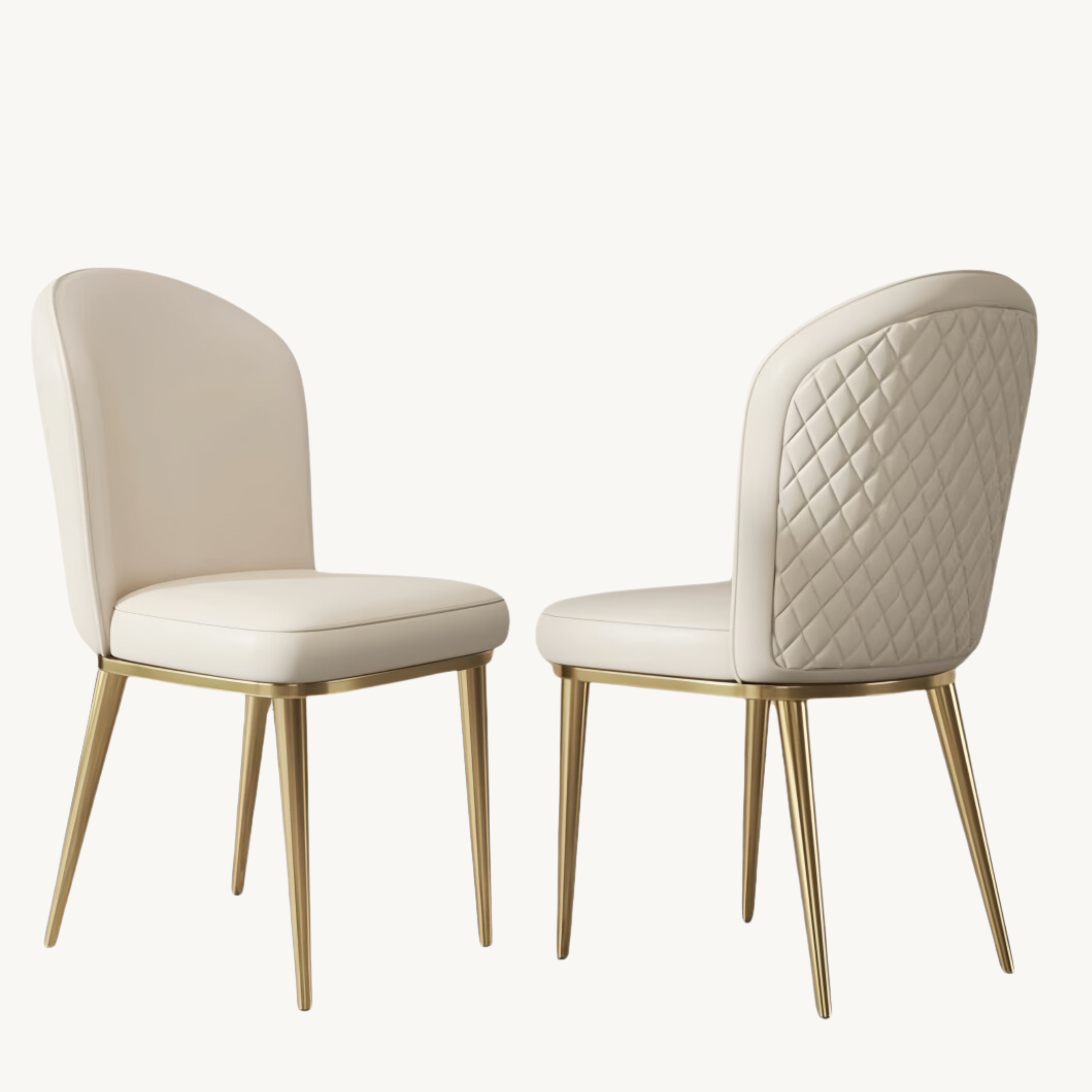 Moga 2 pcs set-minimalist dining chair