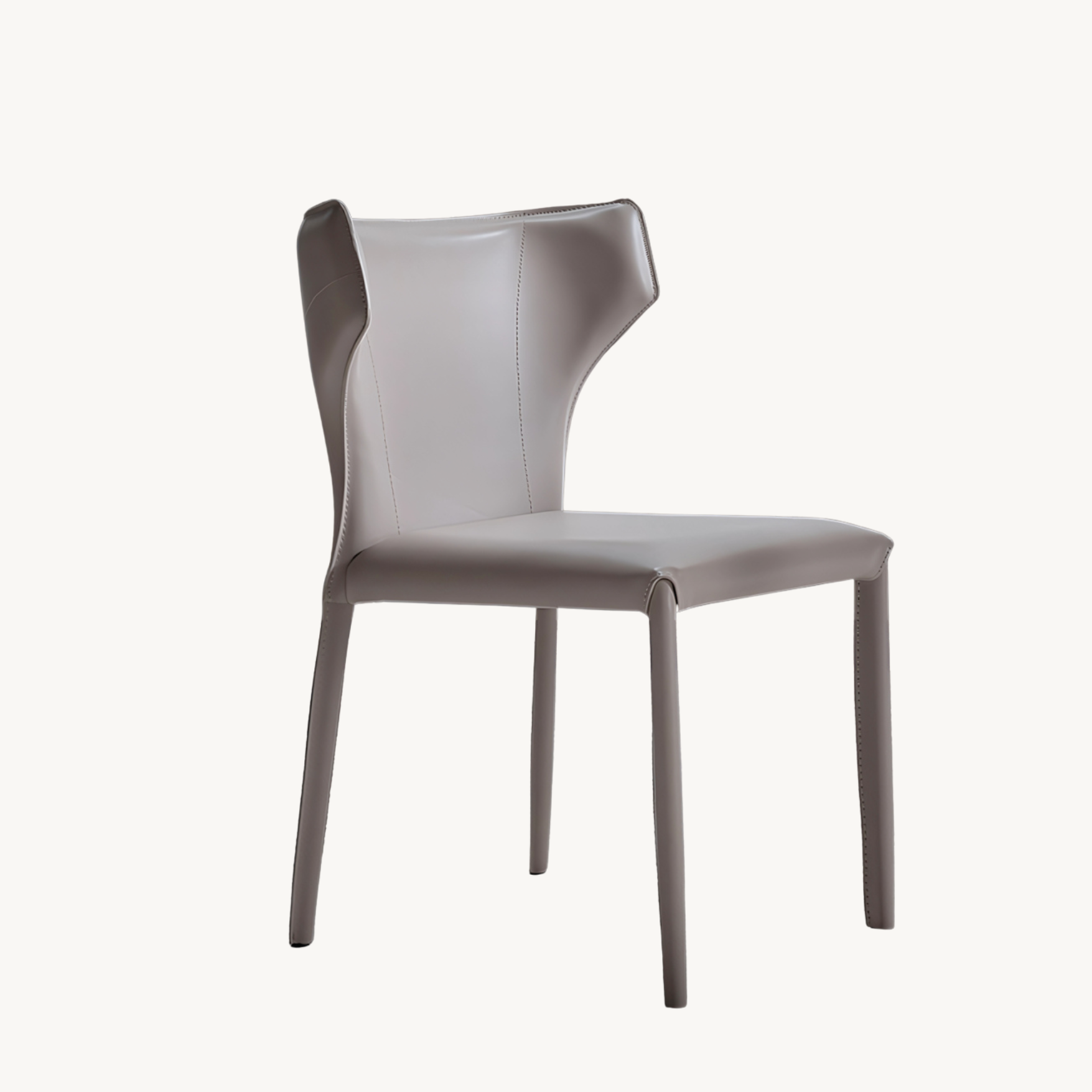 Losifa 2 pcs set-modern dining chairs