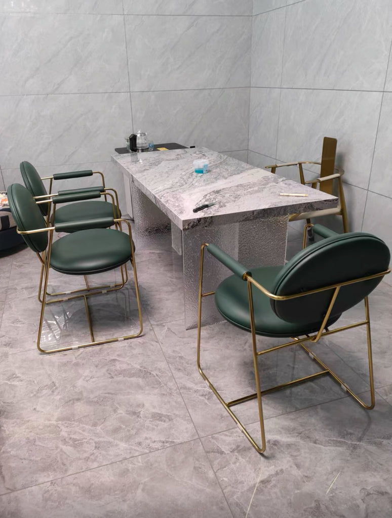 Lucta 2 pcs set-modern dining chair